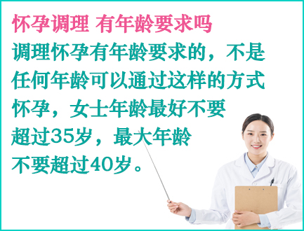 北京借卵生子